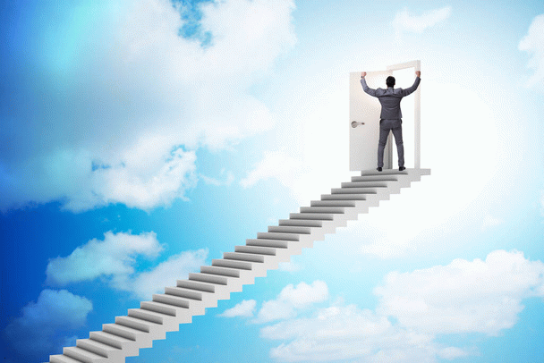 معرفی طوطی گرینچیک و آشنایی 9 نژاد برتر