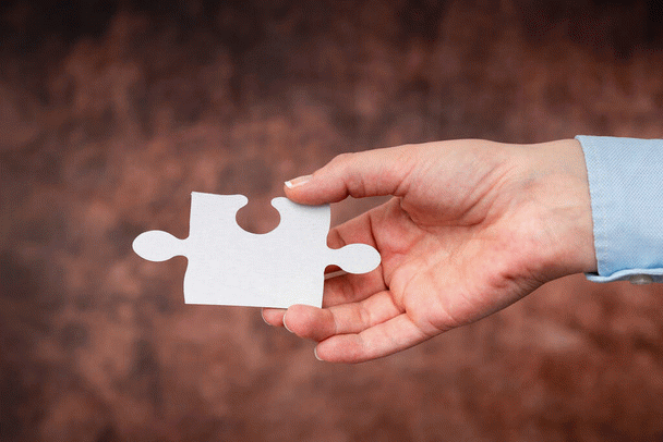 آیا گربه پریود می‌شود؟ 20 نکته درباره پریود گربه